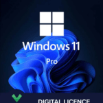 Windows 11 Professional - Retail Key