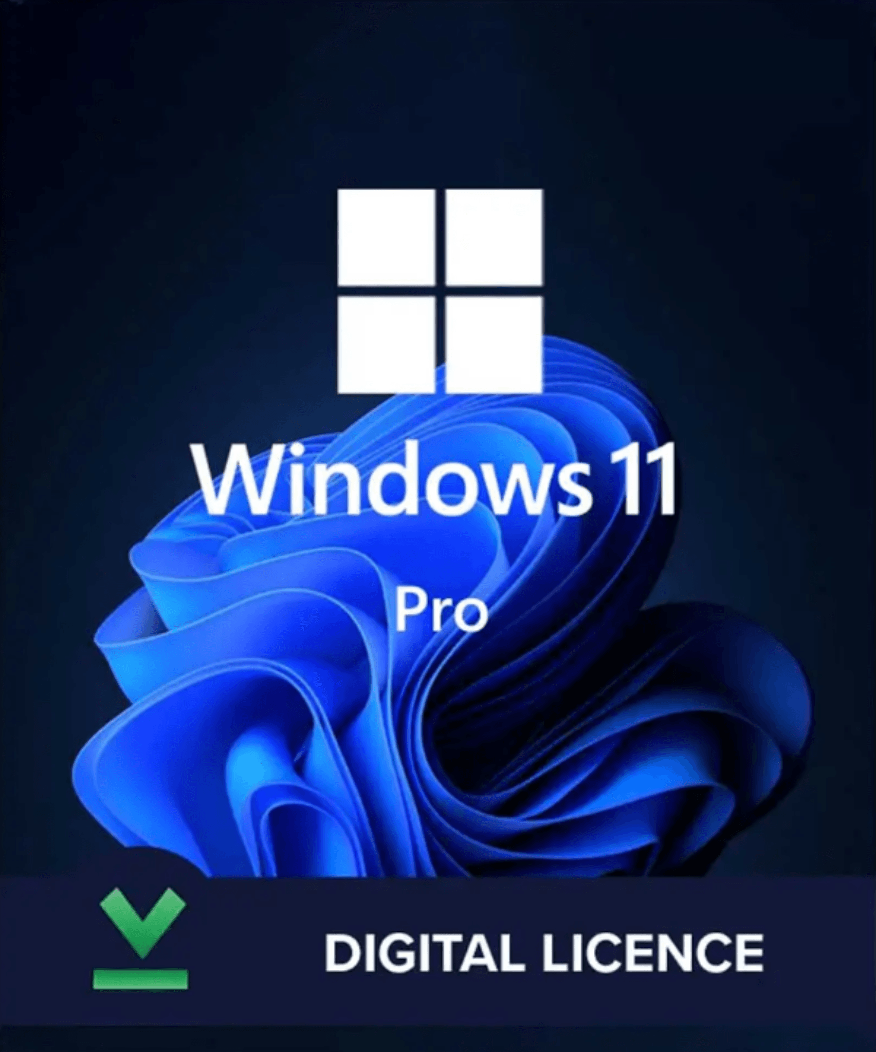 Windows 11 Professional - Retail Key