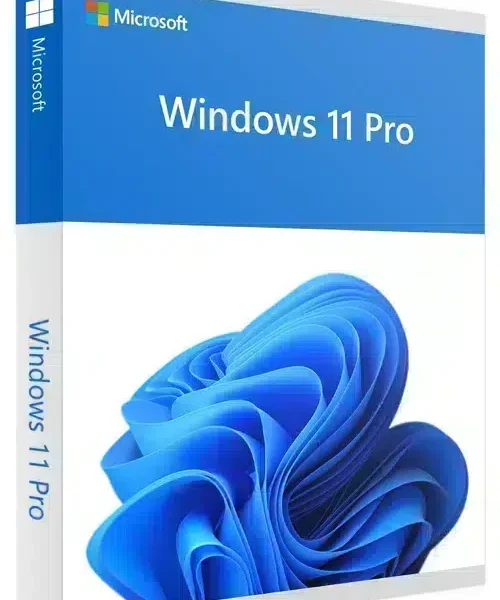 Microsoft Windows 11 Pro - OEM