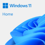 Windows 11 Home Retail Key