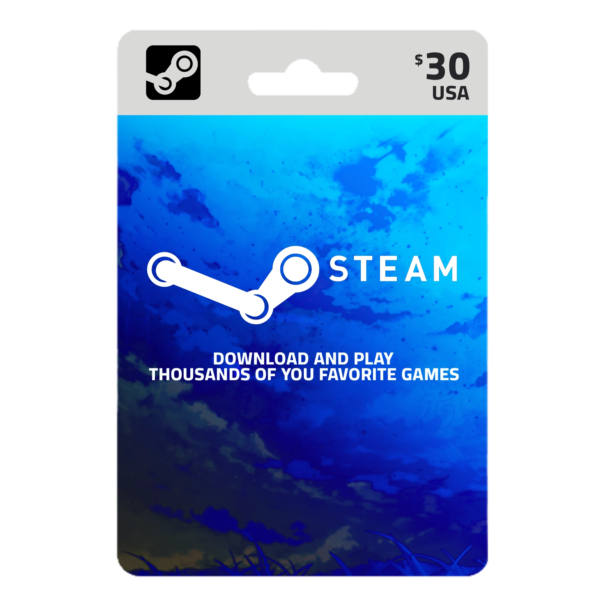 Steam Gift Card 30$ (USA)