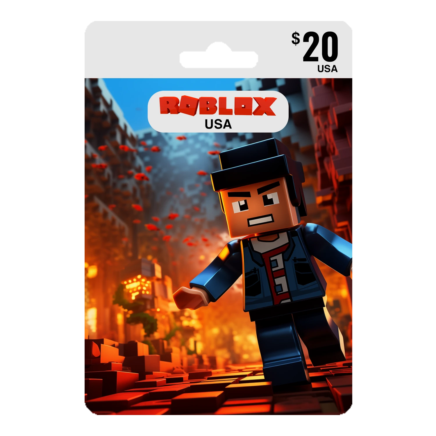 Roblox Gift Card 20$ USA